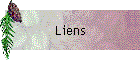 Liens